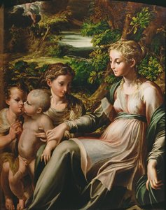 Virgin and Child, with Saints Catherine and John by Parmigianino